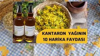How to Make St. John's Wort Oil? What are its Benefits?