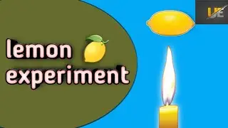 easy science experiment with lemon.amazing lemon tricks.
