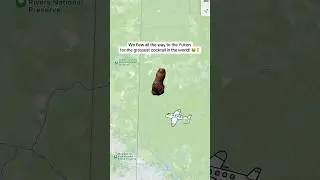 Вы бы попробовали самый отвратительный коктейль в мире? 🤢🦶 #dawsoncity #yukon