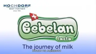 Bebelan Lacta Milk journey