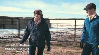 Winter Grazing Systems: Shelter & Bedding