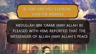 Be Kind and help everyone even the animals | islamkingdom