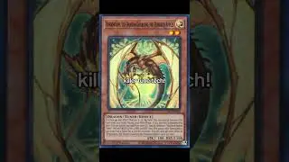 killer tune tech! last time played: ghoti adventure #yugioh #yugiohcommunity #yugiohtcg