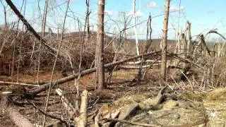Dangerous fire season predicted