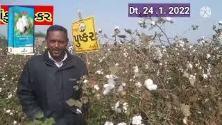 Ankur Pushakar Less Pink bol 2021-22 વધુ માહિતી માટે સંપર્ક કરો. ૯૯૯૮૦૪૧૧૧૨
