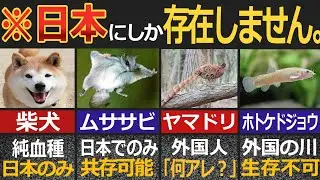 【ゆっくり解説】外国人を魅了する日本固有の動物【海外の反応】【総集編】