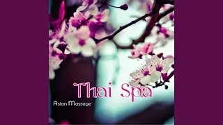 Bamboo - Wellness Music