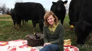 This Is NPR: Allison Aubrey
