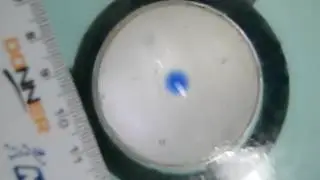acoustic tweezer