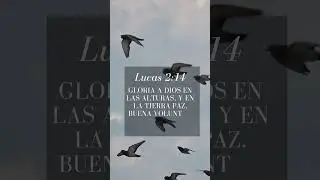 lucas 2:14  #biblia #sanlucasevangelista #lucas #dios #palabradedios