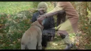 How Much Can Dogs Understand: The Science of Canine Communication
