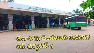 Tenali To Bangalore Bus Timings || Bus Ticket Price || Apsrtc Super Luxury Buses