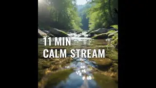 Calming Water Stream Sounds for Deep Sleep &ndash; Natural ASMR (No Talking, West Java Nature)