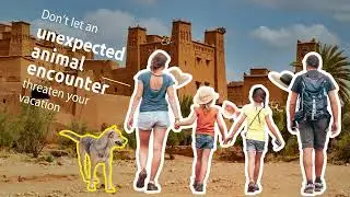 Could an unexpected animal bite or scratch ruin your next holiday?