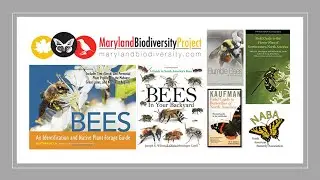 Pollinators, Show '4, 
