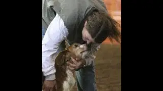 Dog Training using Recallers Games Teaches Old Dog Trainers New Tricks