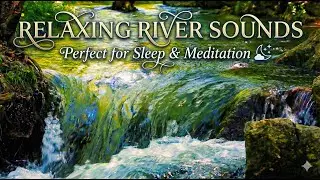 Relaxing River Sounds: Gentle Nature White Noise for Sleep & Meditation