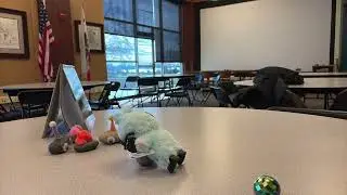 Birthday Party Gone Wrong