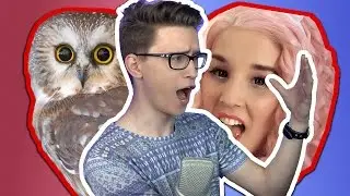 SEXMASTERKA, POKA SOWE I CIĄŻA / Q&A Sheo