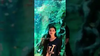 Dubai Green Planet | Rain Forest | Snakes | Iguana | Birds| Pets | Rottweiler