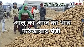 28/12/2025 आलू का आज का भाव फर्रुखाबाद मंडी/ Aalu ka bhav today Farrukhabad 