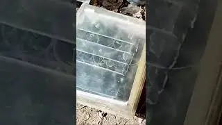 ЭКОНОМНАЯ ИДЕЯ ДЛЯ ВЫРАЩИВАНИЯ СЕМЯН В ТЕПЛИЦЕ БЕЗ ЗАТРАТ