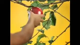 SABC 2 ident (2013-2015)