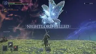 Buggy Bug has a Bug   Elden Ring Nightreign