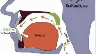 Tajweed video makharij