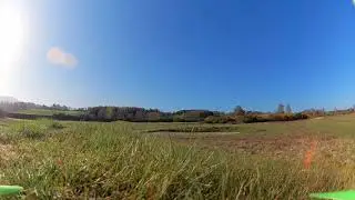 Impulse RC Alien RIP