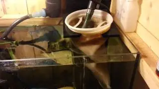 How to wash your filter socks