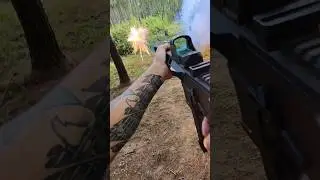 Firebird Reactive Targets (Bio 65)