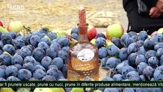 Livezile de prun, investiție avantajoasă pentru fermierii moldoveni