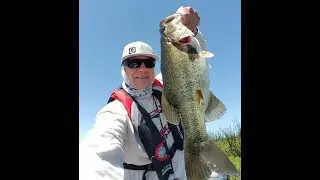 CA Delta Fishing in the 2017 Bass Cat Sabre in August! 4K