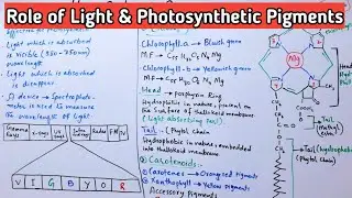 Role of Light & Photosynthetic Pigments - Chlorophyll and Carotenoids || Jiyas Biology Tutorials ||