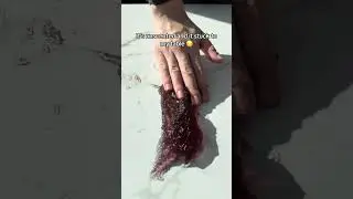 Обзор TEMU SLIME... 🇨🇳
