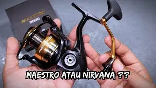 REEL LOW END TERBARU SELAIN NIRVANA ‼️‼️IROLY MAESTRO ‼️‼️