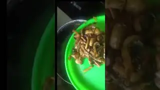 mushroom gravy recipe #cooking #food #cook #like #lunchbox