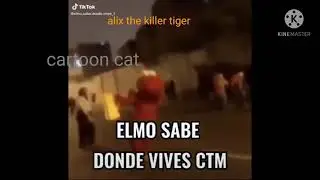 elmo versi&oacute;n killer tigers parodia de elmo