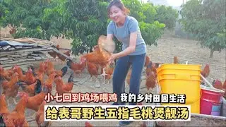 小七大力搅拌米糠喂鸡，再过几个月，就能和野生五指毛桃煲靓汤了 #我的乡村田园生活#回村创业正能量 #野生五指毛桃根 #潘小七的田园生活