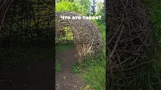 Нашел какие-то шалашы, что это? #woods #huts