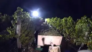 Long Meadow Ranch Rutherford Estate Sauvignon Blanc Harvest 2013
