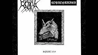 СРАНЪ & Coprohammer - Split (2019) (Noisecore, Noisegrind, Harsh Noise)