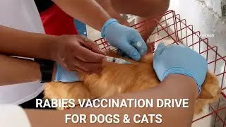 RABIES VACCINATION DRIVE SA BARANGAY FOR DOGS AND CATS