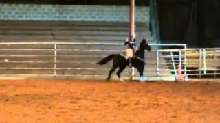 Sable2.MOV
