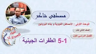 الدرس الخامس الطفرة الجينية أحياء كامبردج 12 الفصل الدراسي الأول