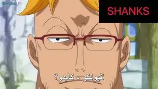 ردة فعل ماركو العنقاء على تخطيط لوفي لإسقاط اليونكو كايدو