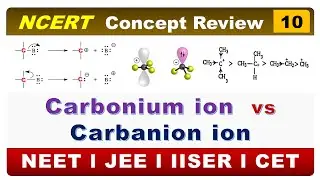 Carbocation vs Carbanion | Organic Chemistry Basics  #carbonium #carbanion
