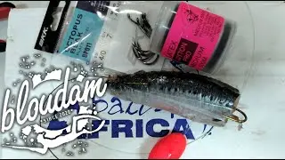 Catch BIG Shad with These Tips, Tricks and Baits!