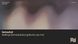 Temazkal, GotLucky - Feelings (Temazkal & GotLucky VIP Mix)